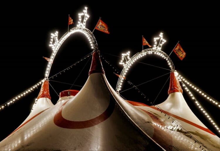 Beechwood Primary will host Happy's Circus on Friday, September 16, from 5pm. Picture: Leonhard Niederwimmer.