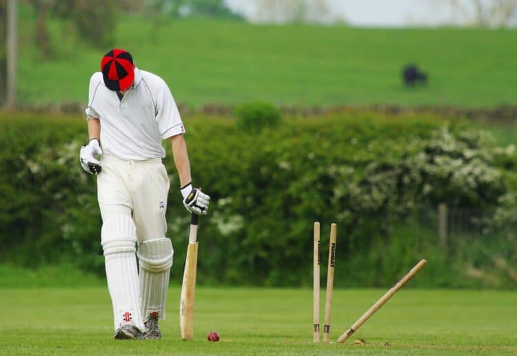 Cricket Picture: Pixabay