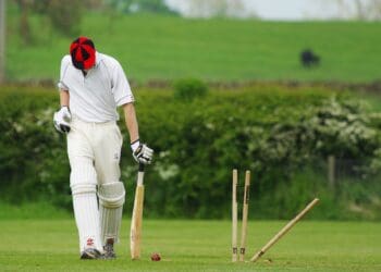 Cricket Picture: Pixabay