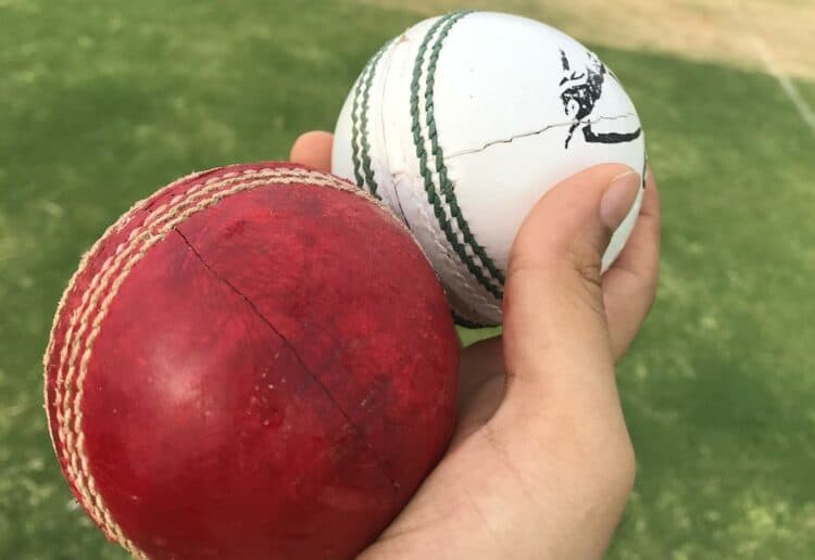 Cricket Picture: Pixabay