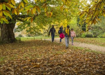 The 10 best things about autumn, as selected by the National Trust in Bucks, Berks and Oxfordshire