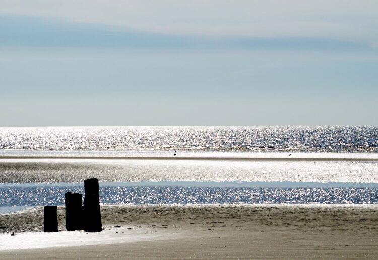 The seaside  Picture: PublicDomainPictures from Pixabay