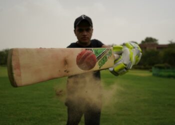 Cricket Picture: Pixabay