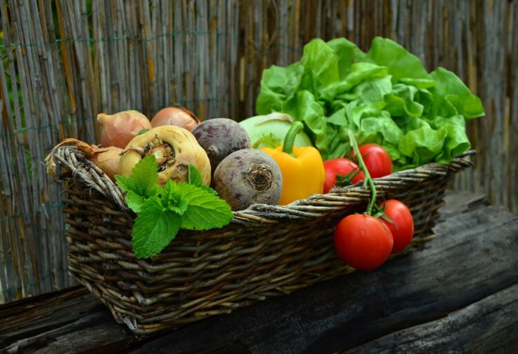 A harvest celebration will take place on Sunday Picture: congerdesign from Pixabay
