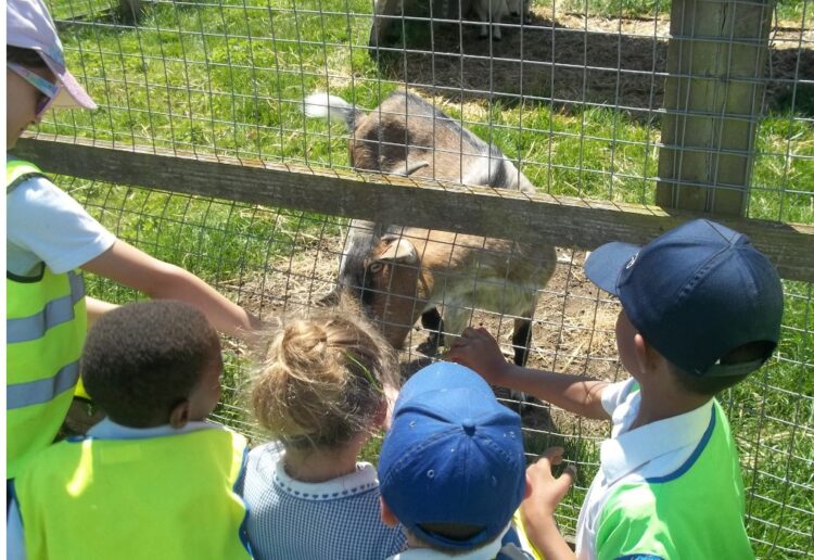 Whitley children enjoyed a day at Beale Park thanks to Aspire2