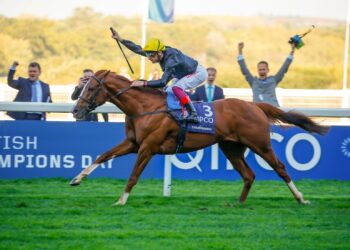 RETIRED STRADIVARIUS Ascot Races