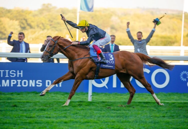 RETIRED STRADIVARIUS Ascot Races