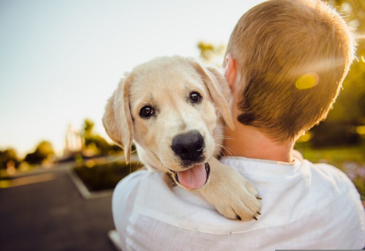 We can all be kind to animals, but there are other ways we can be kind Picture: Helena Sushitskaya from Pixabay