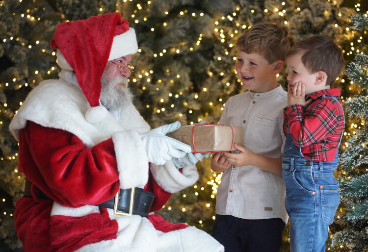 Dobbies will be organising Christmas grottos for children, and for pets this Christmas. Picture: Stewart Attwood