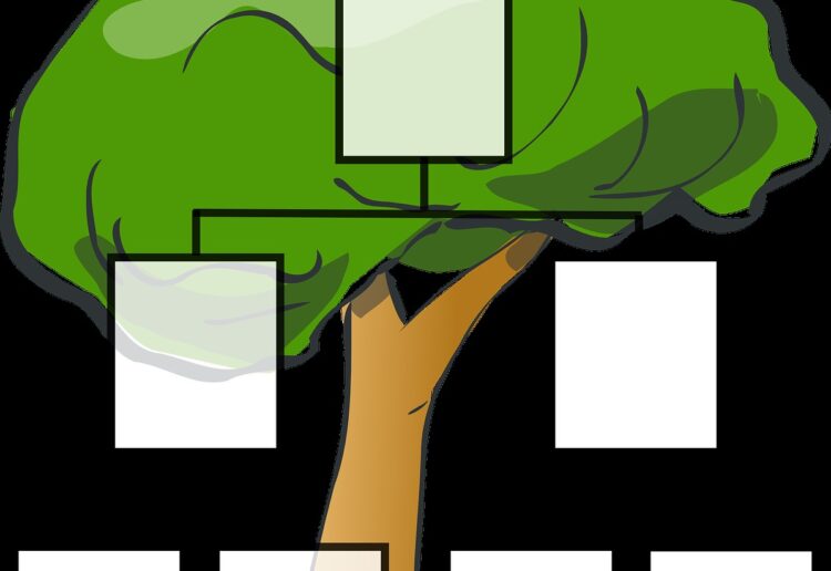 The library offers help for people researching their family tree Picture: Pixabay