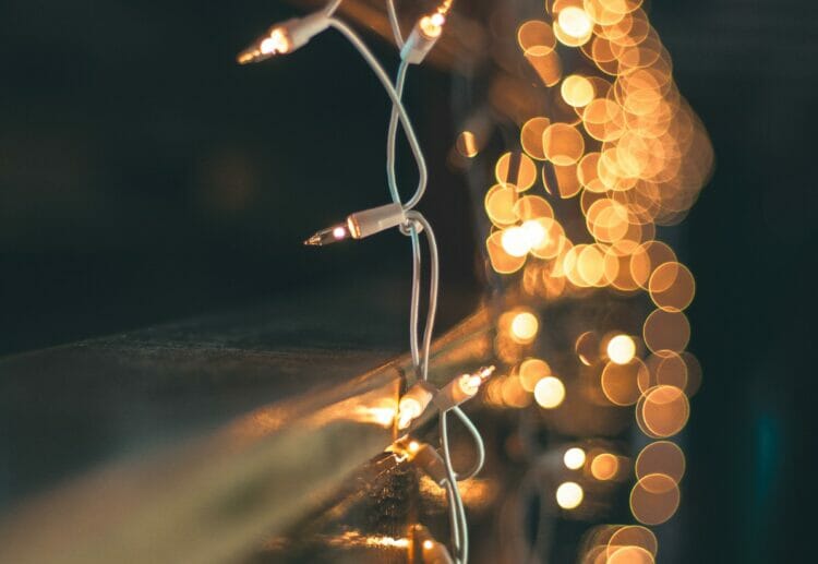 The MERL is hosting a family light event on Wednesday, December 21. Picture: Kevin Fitzgerald via Unsplash
