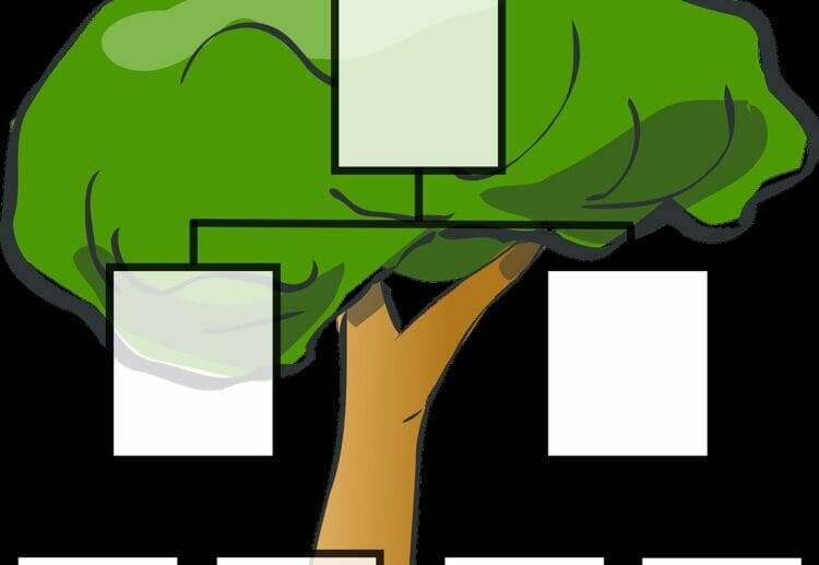 The library offers help for people researching their family tree Picture: Pixabay