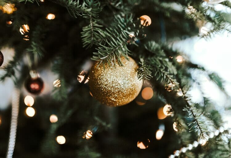 WCDA will be hosting a creative Christmas Fayre on Sunday, December 11. Picture: Sandra Seitamaa
