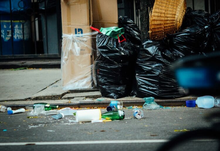 The litter pick will meet at the Weller Centre from 10am on Saturday, December 17. Picture: Jon Tyson via Unsplash