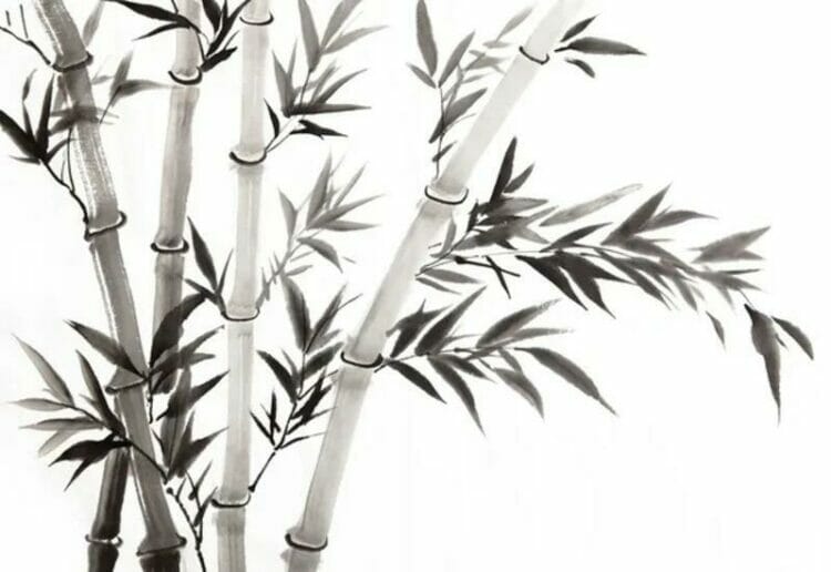 The art of Chinese brush painting will come to Reading on Saturday, December 3