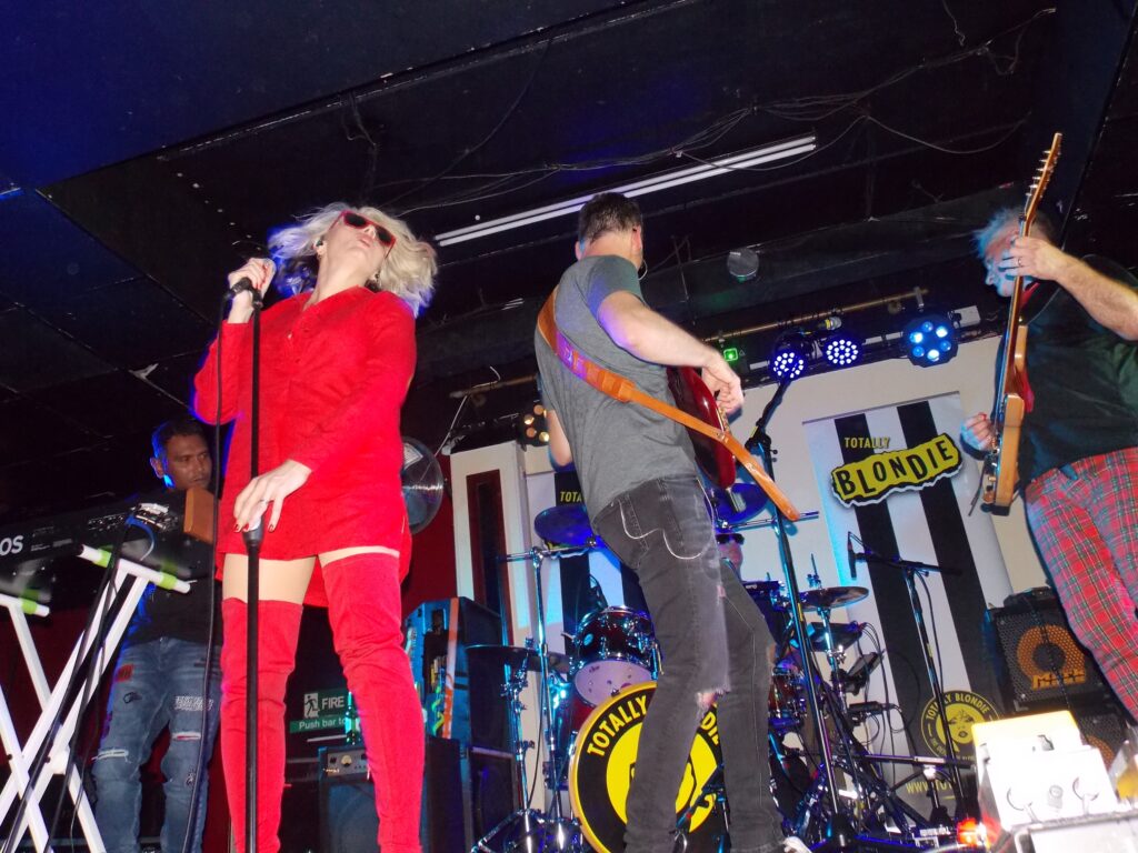 Totally Blondie performing at The Face Bar, Saturday, October 29. Picture: Jake Clothier