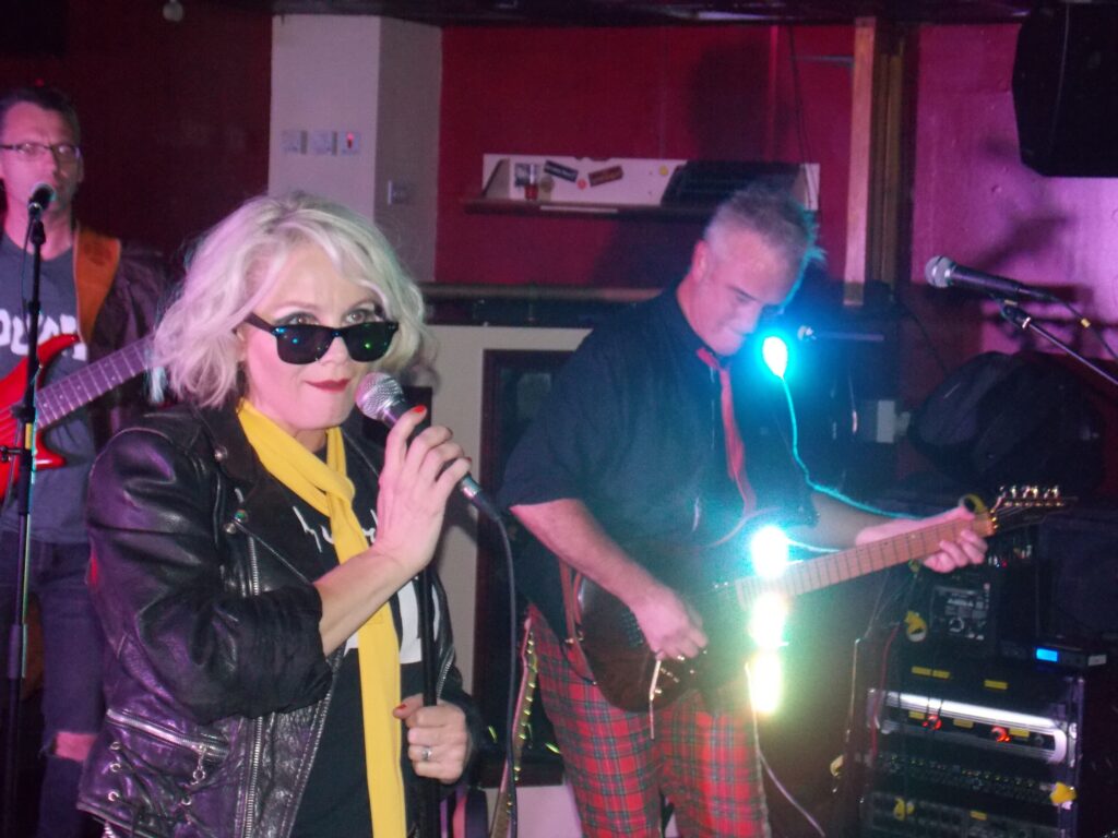 Totally Blondie performing at The Face Bar, Saturday, October 29. Picture: Jake Clothier