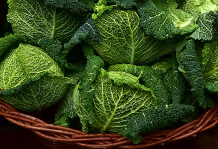 Cabbages - the booby prize on Crackerjack Picture: Ulrike Leone from Pixabay