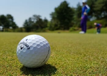 Image by ??? lee from Pixabay