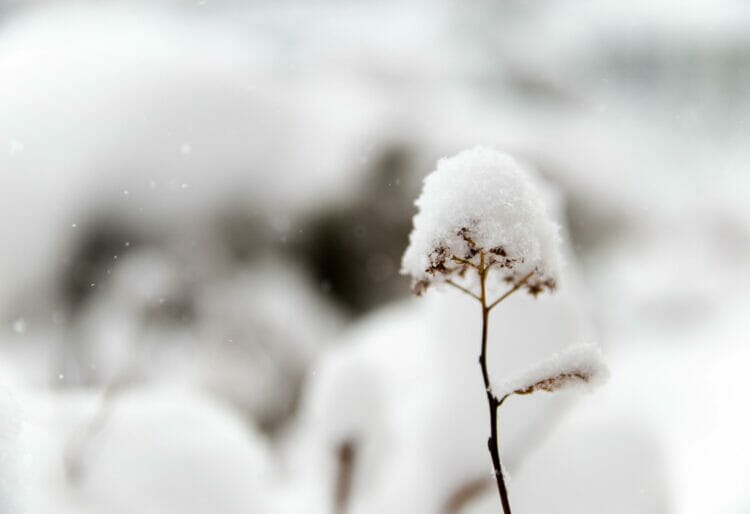 Dr Rob Thompson has explained the difficulties in predicting snow. Picture: Hide Obara via Unsplash