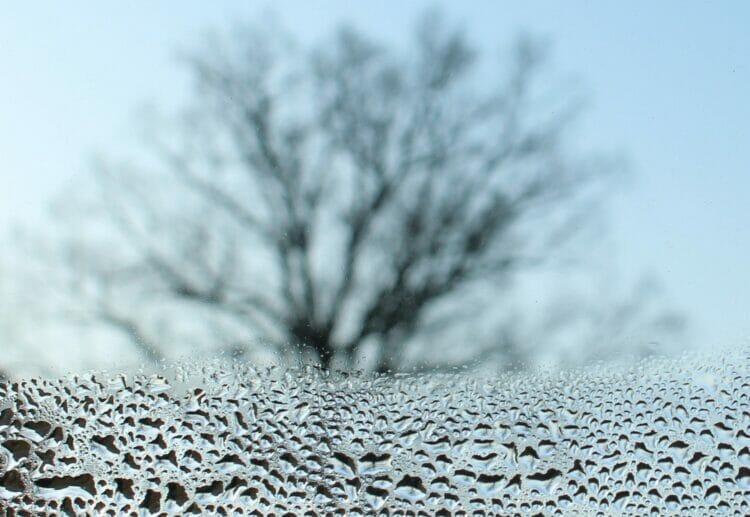 January can be a cold, miserable month Picture: Alicja from Pixabay