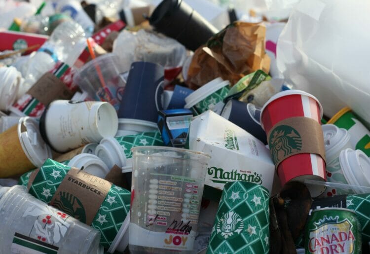 The University of Reading organised the project to help school students understand environmentally-friendly ways of disposing of food packaging. Picture: Jasmin Sessler via Unsplash