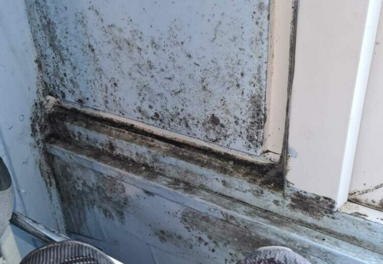 Mould and damp damage at the flat the Boateng family have in Newcastle Road, Reading. Credit: Dave Boateng
