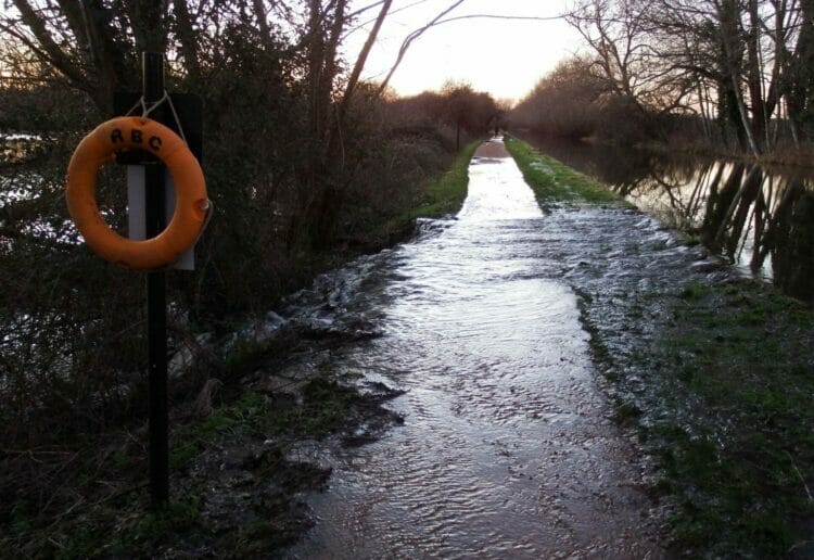 David Turner took some striking snaps of flooding at Fobney Island Wetland Nature Reserve on January 18. Picture: David Turner