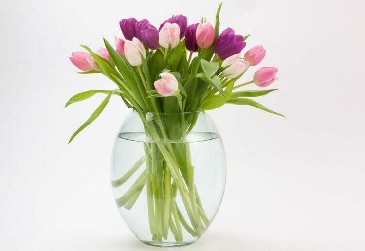 Flowers Picture: Pixabay