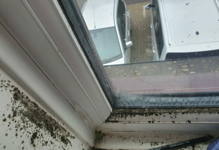 Black mould at the home in Brackstone Close, Caversham. Picture: Local democracy reporting service