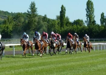 Image by <a href="https://pixabay.com/users/macayran-3105531/?utm_source=link-attribution&amp;utm_medium=referral&amp;utm_campaign=image&amp;utm_content=1665688">Jean Louis Tosque</a> from <a href="https://pixabay.com//?utm_source=link-attribution&amp;utm_medium=referral&amp;utm_campaign=image&amp;utm_content=1665688">Pixabay</a>