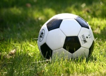 Image by <a href="https://pixabay.com/users/annros-614174/?utm_source=link-attribution&amp;utm_medium=referral&amp;utm_campaign=image&amp;utm_content=1396740">Ann -- please donate</a> from <a href="https://pixabay.com//?utm_source=link-attribution&amp;utm_medium=referral&amp;utm_campaign=image&amp;utm_content=1396740">Pixabay</a>