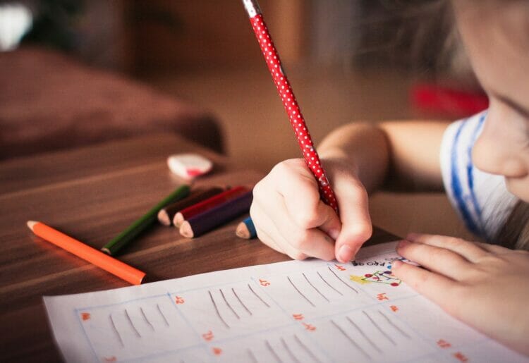 An Ofsted inspection has given Pinecroft an outstanding rating Picture: www.picjumbo.com from Pixabay