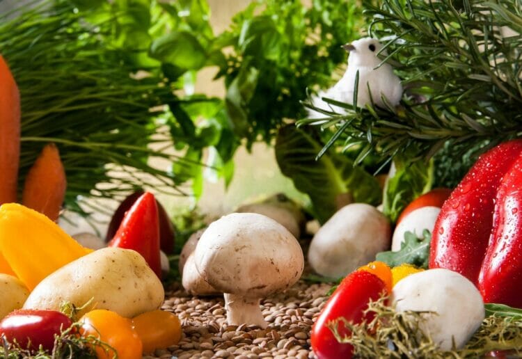 Sharing food is about so much more than just giving someone something to eat. It?s a way of spending time with people Picture: Christine Sponchia from Pixabay