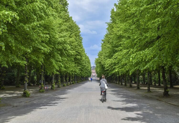 Dusseldorf, Reading's twin town Picture: Michael Gaida from Pixabay.