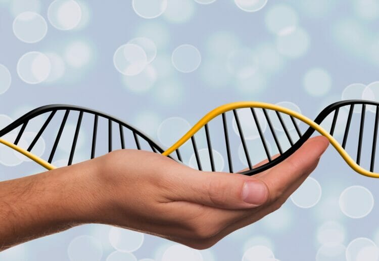 DNA and its impact on family history is explored at Reading Library on Saturday Picture: Gerd Altmann from Pixabay