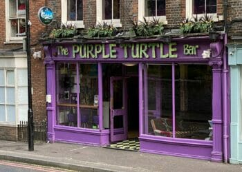 Make it a double: Purple Turtle lays out plans for expansion bid