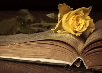 Two Rivers Press seeking submissions from poets with strong links to Reading