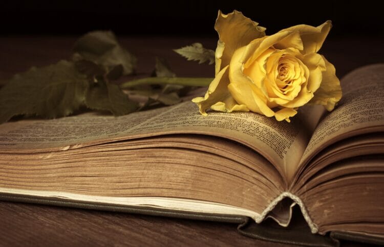 Two Rivers Press is seeking submissions from poets with strong ties to Reading, closing on Friday, April 30. Picture: Peggy Choucair via Unsplash