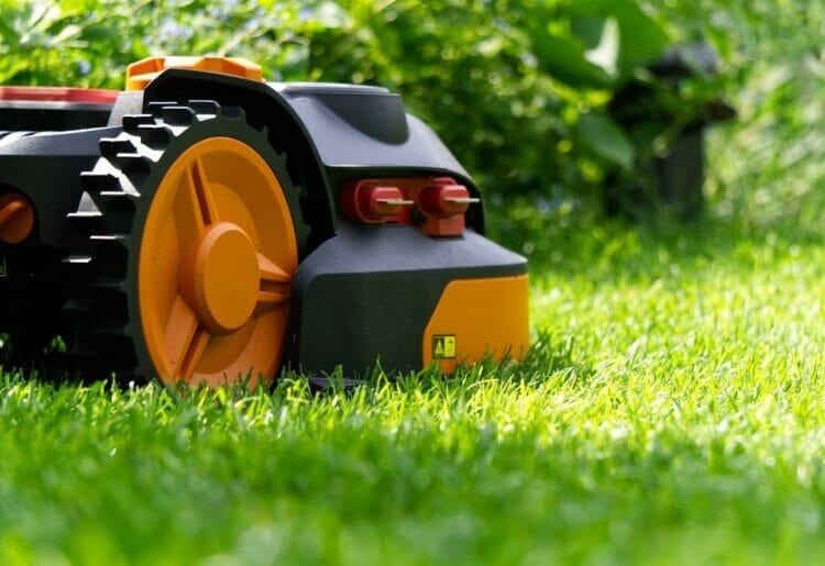 The Campaign For Rural England is hoping people will mow less this summer Picture: Markus Distelrath from Pixabay