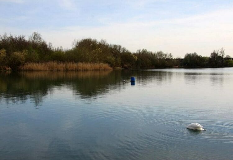Thames Hospice's Open Water Swim Challenge takes place at Bray Lake, maidenhead, on Sunday, July 2. Picture: Bray Lake by Steve Daniels