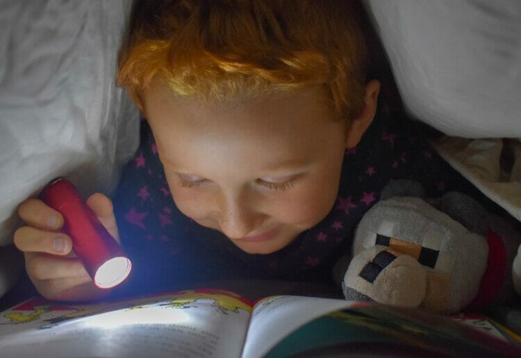 ABC To Read values the contribution its volunteers make in helping children to enjoy reading. Picture: Amberrose Nelson via Pixabay