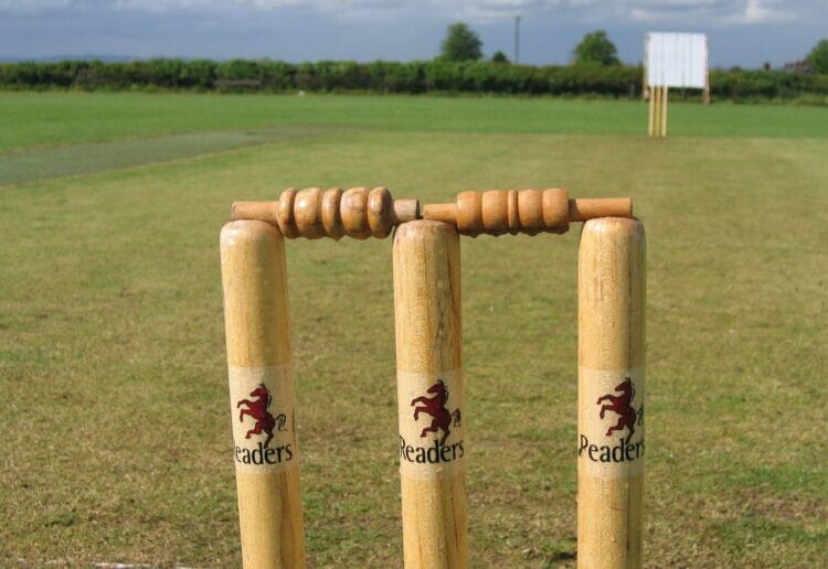 Cricket Picture: Pixabay
