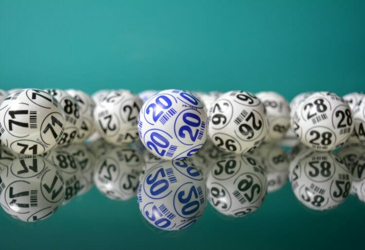 The WCDA's bingo afternoons take place from 1pm-2.30pm. Picture: Alejandro Garay via Unsplash