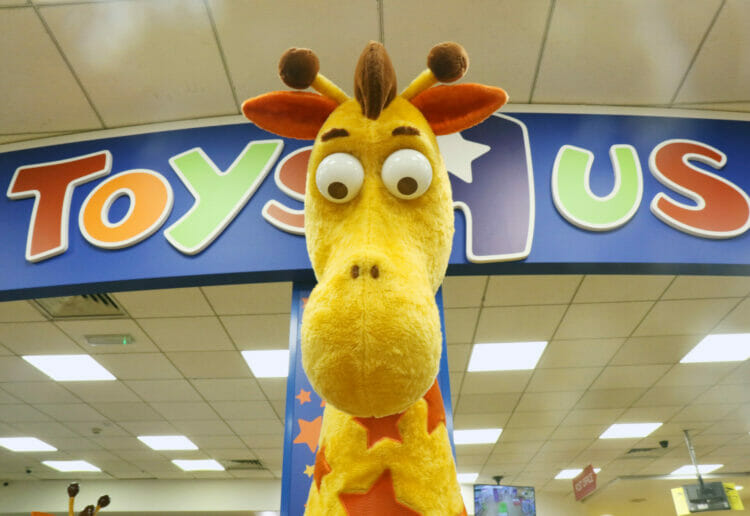 Geoffrey the Giraffe at the Toys R Us branch Picture: Dijana Capan/DVision Images