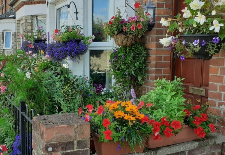One of 2022's ebullient entries. Picture: Courtesy of Reading in Bloom