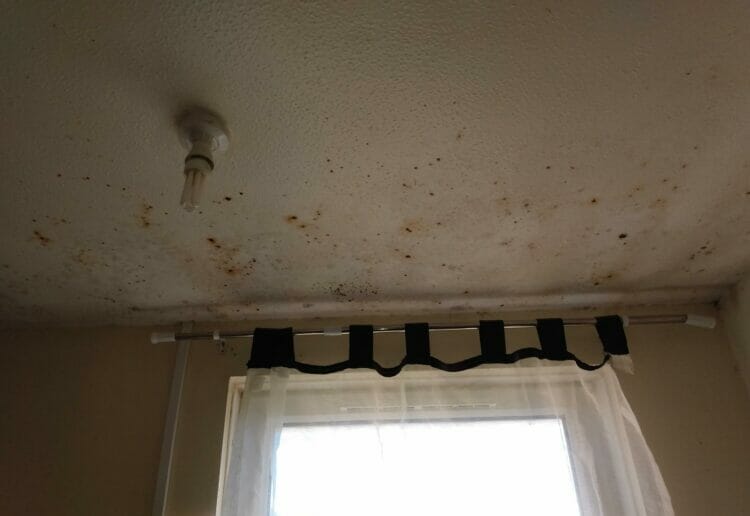Some of the mould in Reading resident Elaine Parry's flat. She says she first notified Reading Borough Council about it 18 months ago and it has still not been fixed Picture: Local democracy reporting service