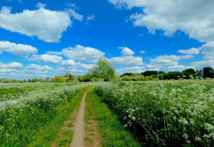 West Berkshire is one of the safest places in the country for a staycation Picture: Richard Szwejkowski/flickr