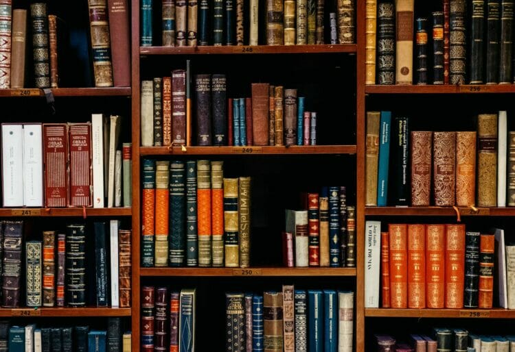 More than 5,037 students have been offered places on undergraduate courses at the University of Reading. Picture: Inaki del Olmo via Unsplash