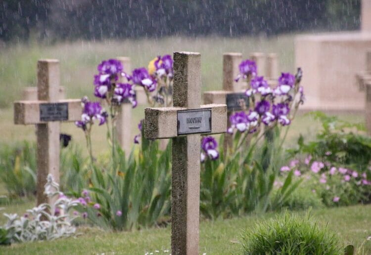 The Somme is to be the subject to a talk in Woodcote Picture:SJTUK from Pixabay
